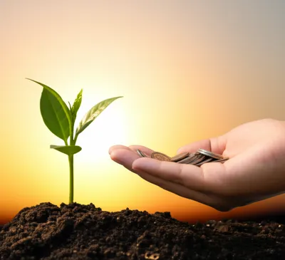 Illustration professional - Image 1