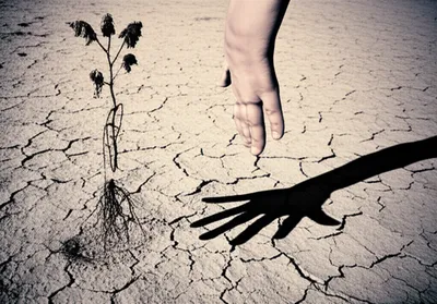 Illustration withdrew - Image 1