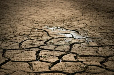 Illustration greener - Image 1