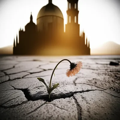 Illustration atheism - Image 1