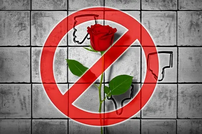 Illustration illegal - Image 1