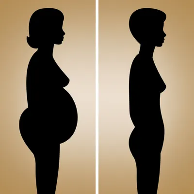 Illustration slims - Image 1