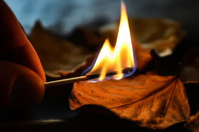 单词"because"的视觉插图 - 因为，由于。
