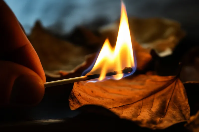 Ilustración visual de la palabra "because" - Porque, ya que