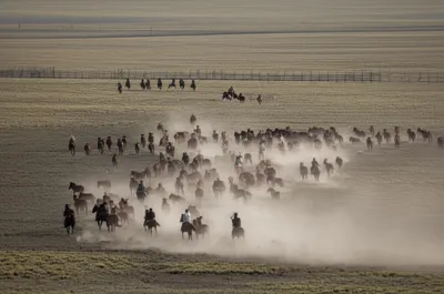 Illustration drives - Image 1