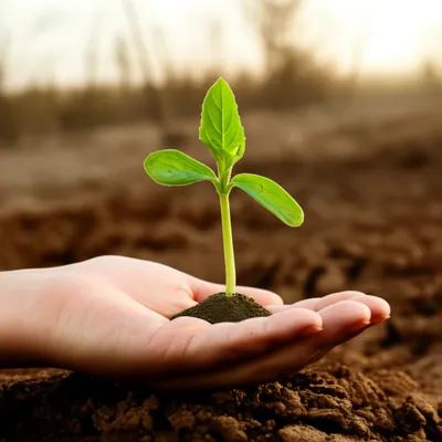 Illustration spared - Image 1