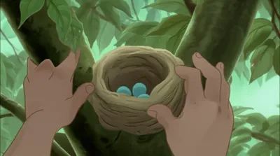 Illustration tree - Image 1