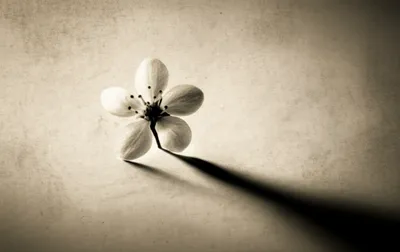 Illustration interferes - Image 1