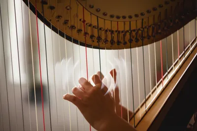 Illustration thrumming