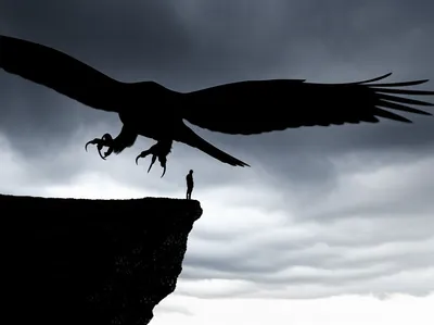 Illustration impend - Image 1