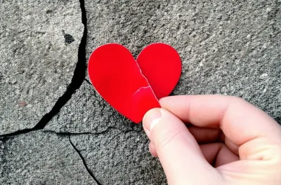 Illustration affixing - Image 1