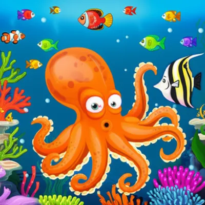 octopus