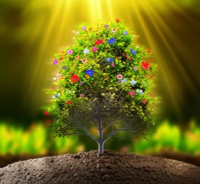 Illustration enliven