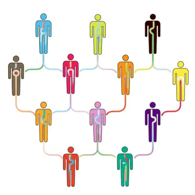 Illustration names - Image 1