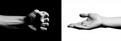 Illustration v - Image 1