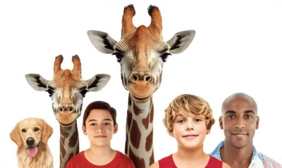 Illustration necks - Image 1