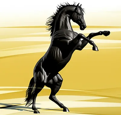 Illustration ramping - Image 1