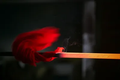 Illustration singeing - Image 1