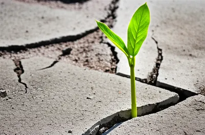 Illustration innovate - Image 1