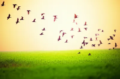 Illustration lights - Image 1