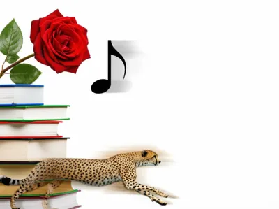 Illustration nonzero - Image 1