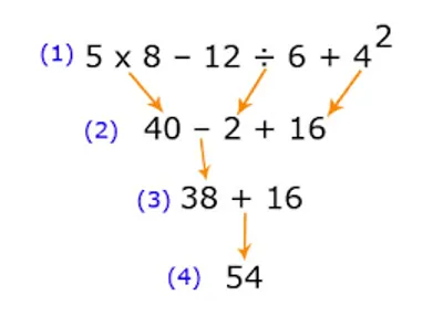 Illustration transformation - Image 3