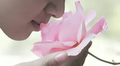 Illustration scent - Image 2