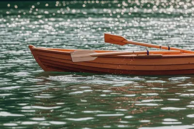 Illustration rowed - Image 1