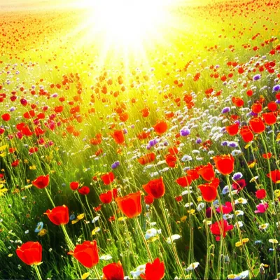 Illustration best - Image 1