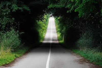 Illustration aberrant - Image 1