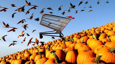 Illustration panics - Image 1