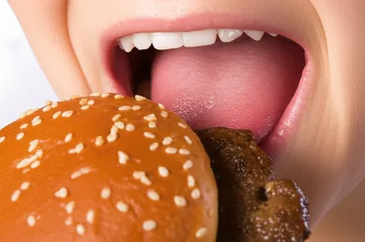 Illustration grinds - Image 1