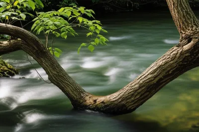 Illustration plying - Image 1