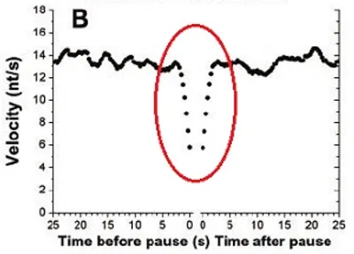 Illustration dwell - Image 2