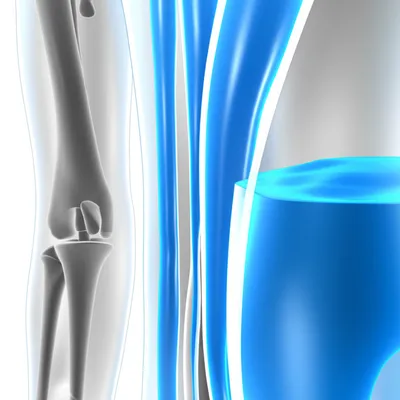 Illustration swallow - Image 1