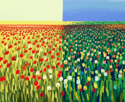 Illustration edits - Image 1