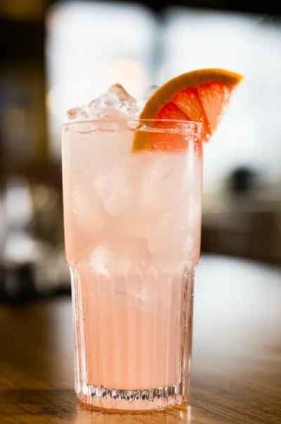 Illustration greyhounds - Image 1