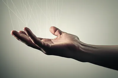 Illustration release - Image 1