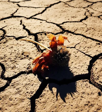 Illustration killed - Image 1