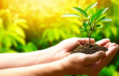 Illustration cherished - Image 1