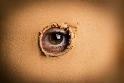 Illustration eyelet - Image 1