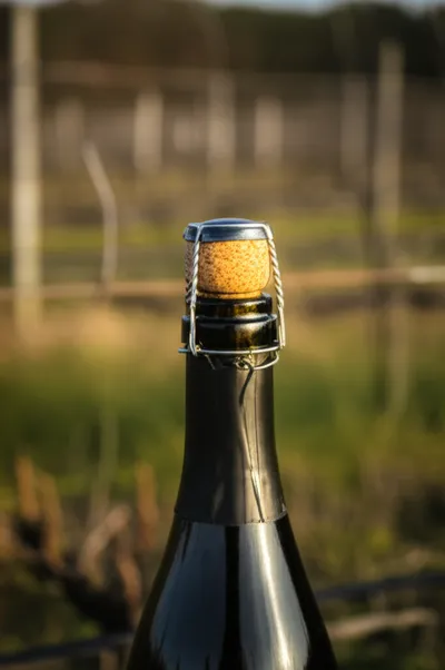 Illustration wired - Image 1