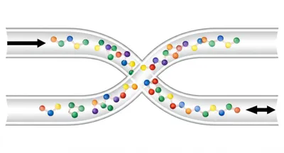 Illustration reverses - Image 1