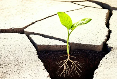 Illustration initiatives - Image 1