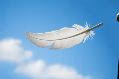 Illustration lite - Image 1