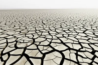 Illustration sterility