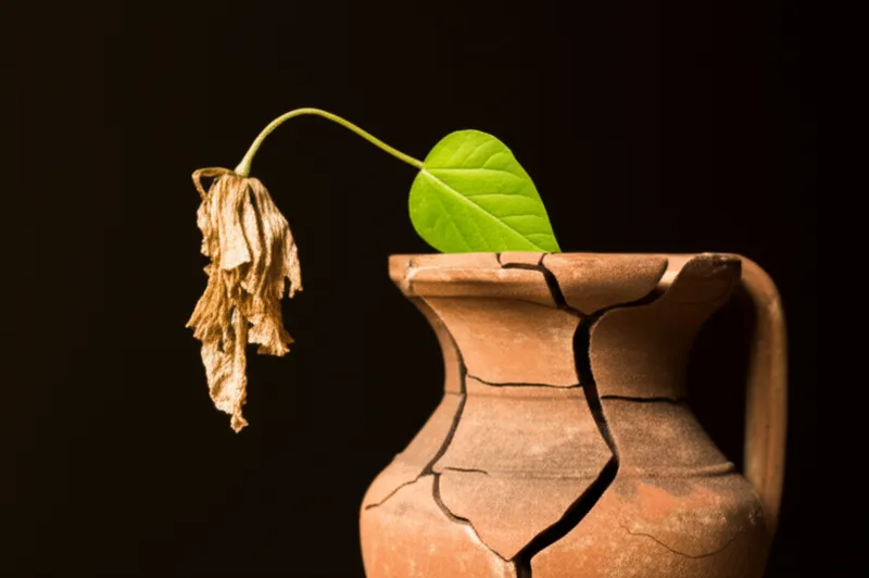 Illustration visuelle du mot « damaged » - Endommager, abîmer