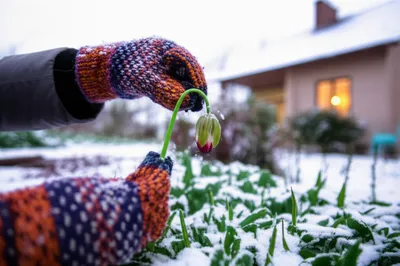 Illustration gloves - Image 1