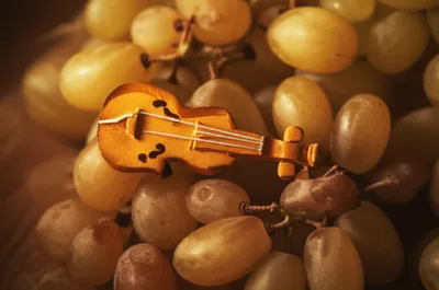 Illustration sultanas - Image 1