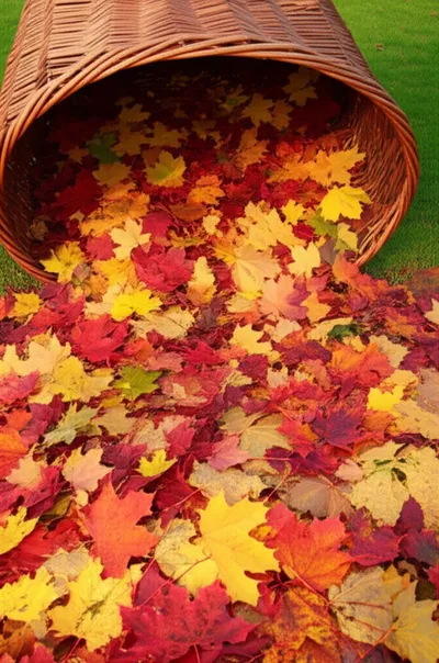 Illustration heaped - Image 2